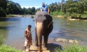 WhatsApp Image 2025-08-17 at 15.03.10 (1)