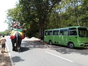 WhatsApp Image 2025-08-17 at 15.03.10