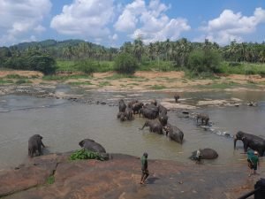 WhatsApp Image 2025-08-17 at 15.10.56